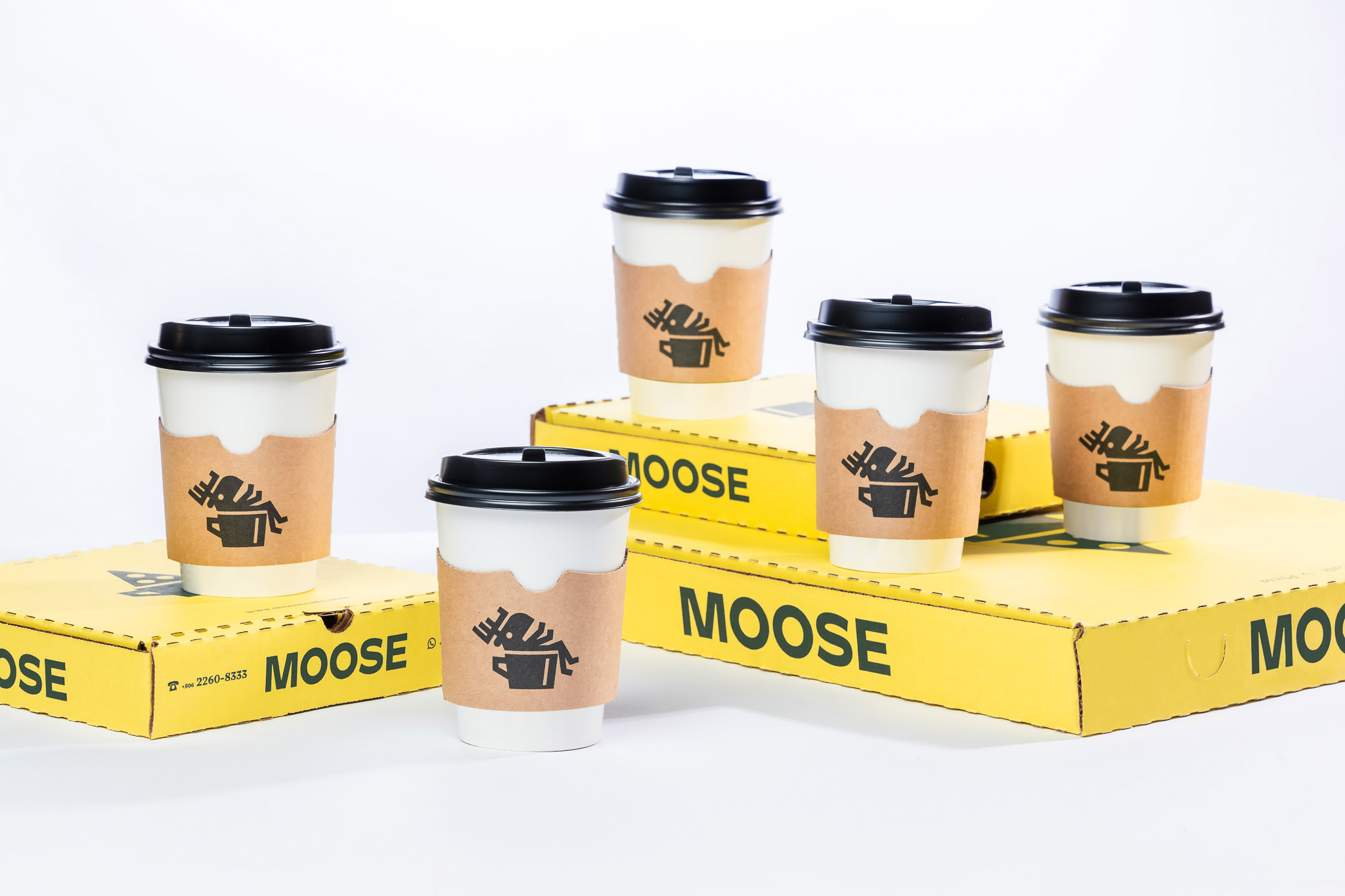 MOOSE-31_WEB