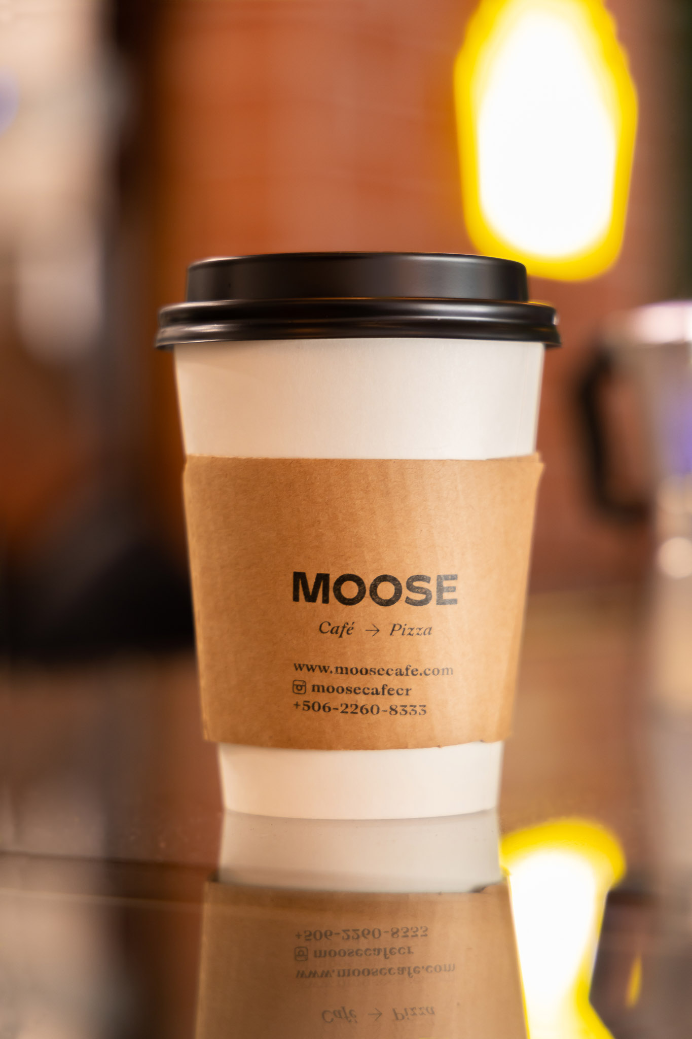 MOOSE-3_WEB