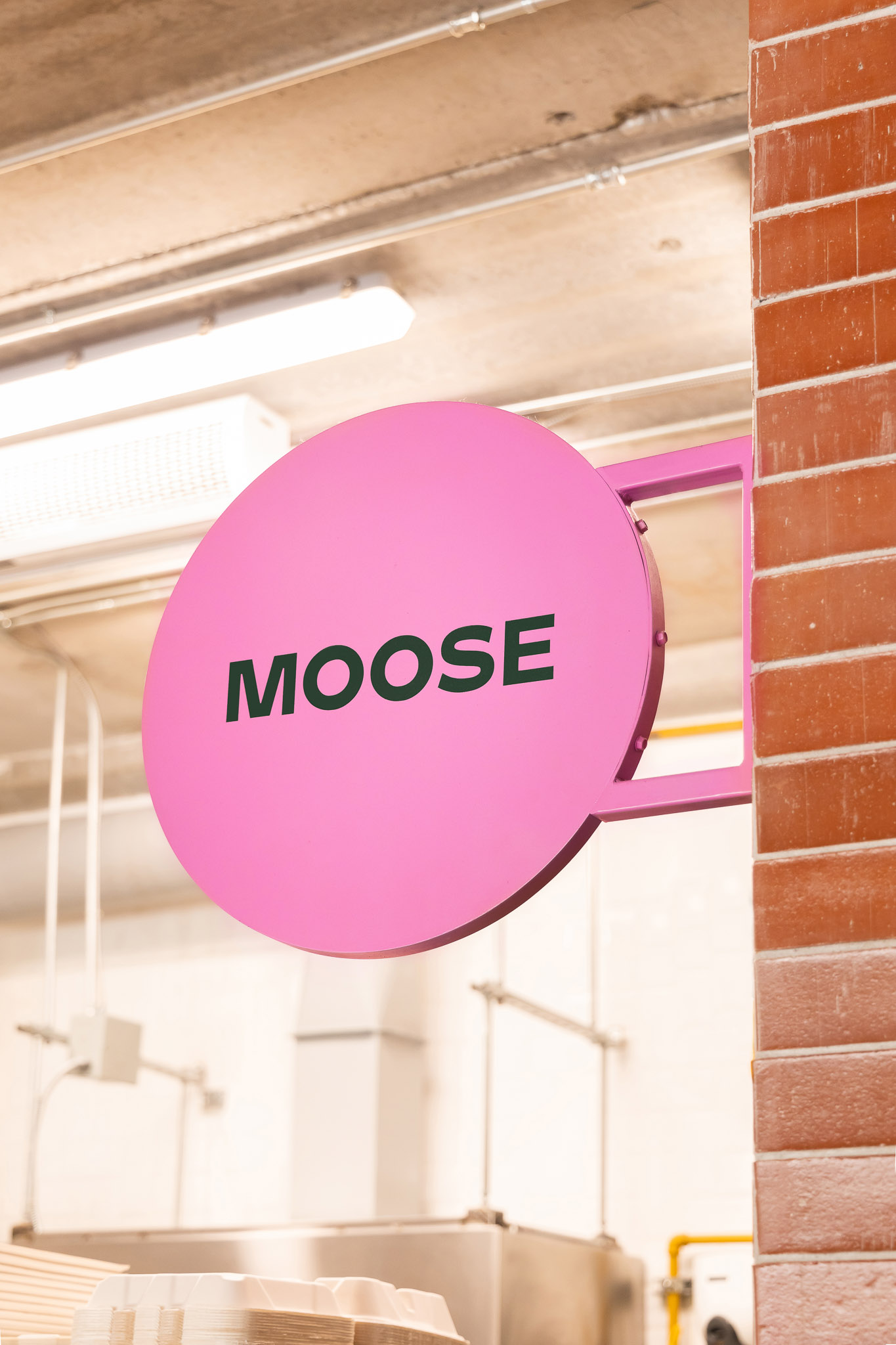 MOOSE-5_WEB