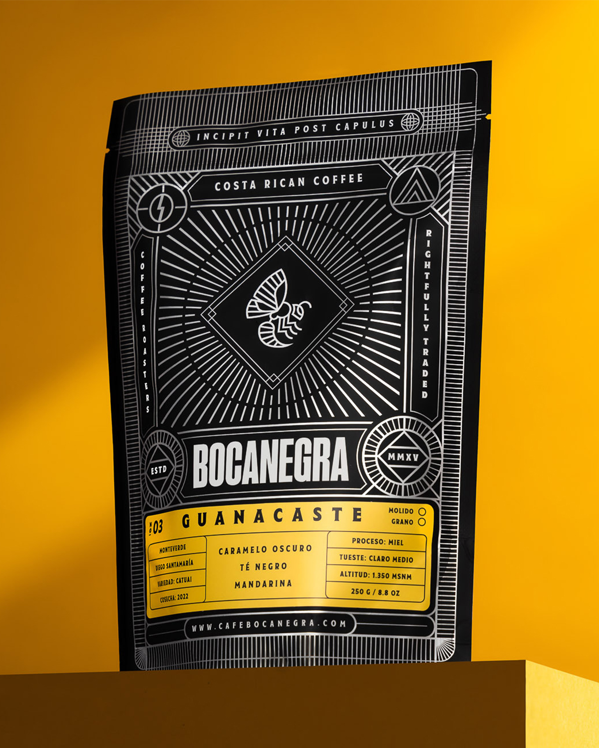 Bocanegra
