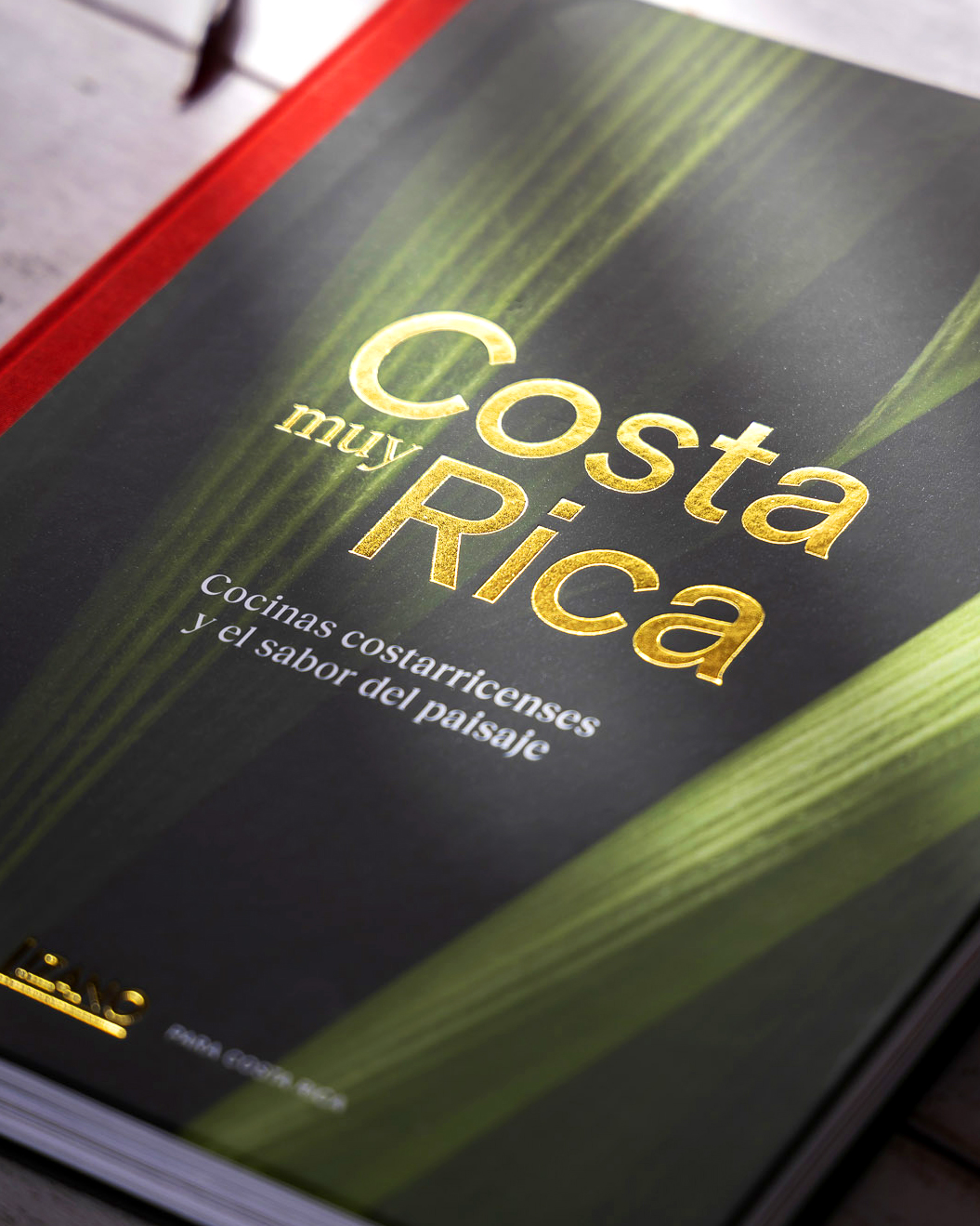 Costa Muy Rica