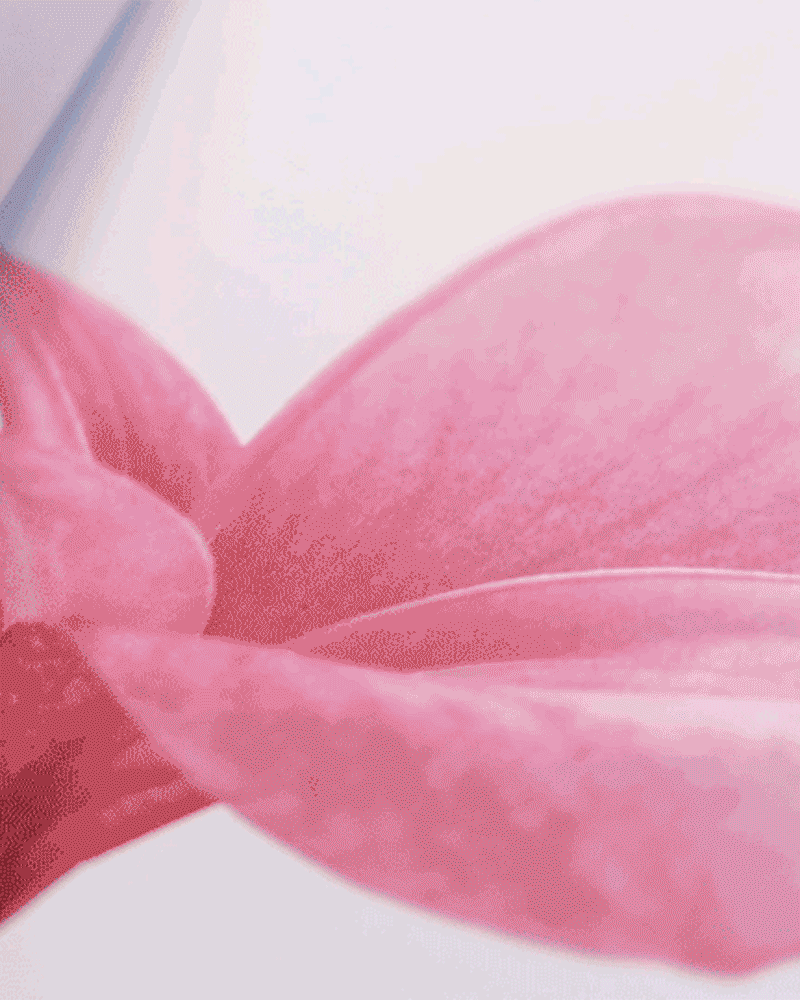 Flor de Madera